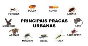 Desinsetização
